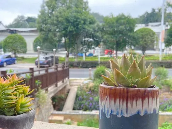 Lushan Fenghua Zhengmao Homestay Hotel
