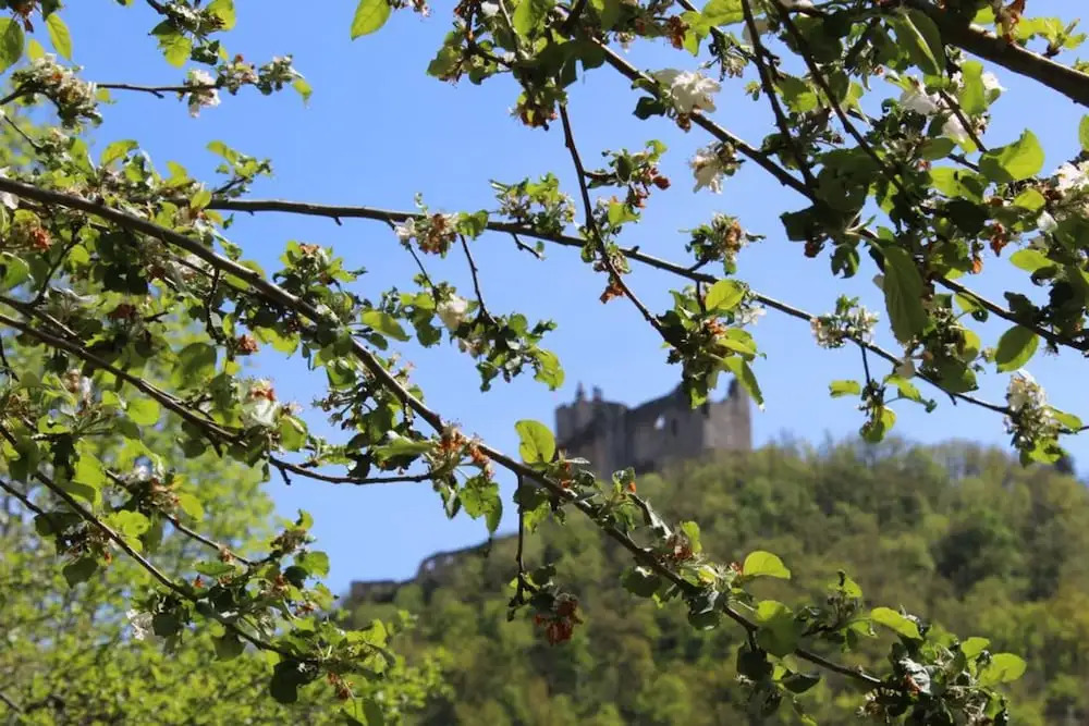 El Camino De Najac
