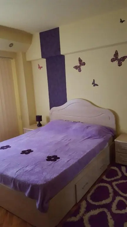 Apartament cu 2 camere spatioase in centrul orasului - ANDREI