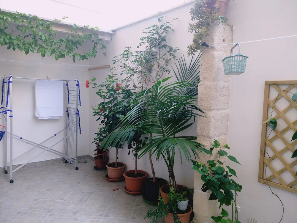 Casa Narciso
