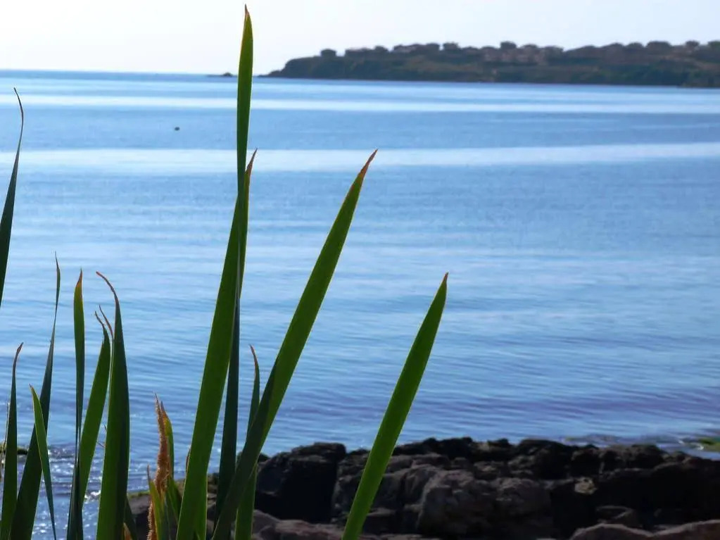 "Rock and Wave" Apartments with sea view in Sozopol