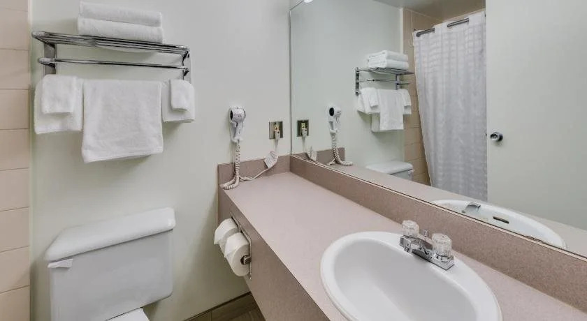 Heritage Inn Hotel & Convention Centre - Brooks