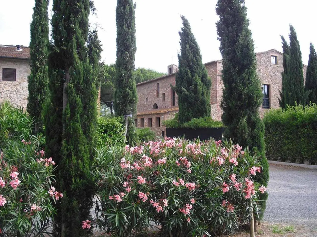 Casaleaurelia