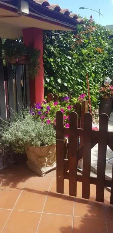 B&B Girasole