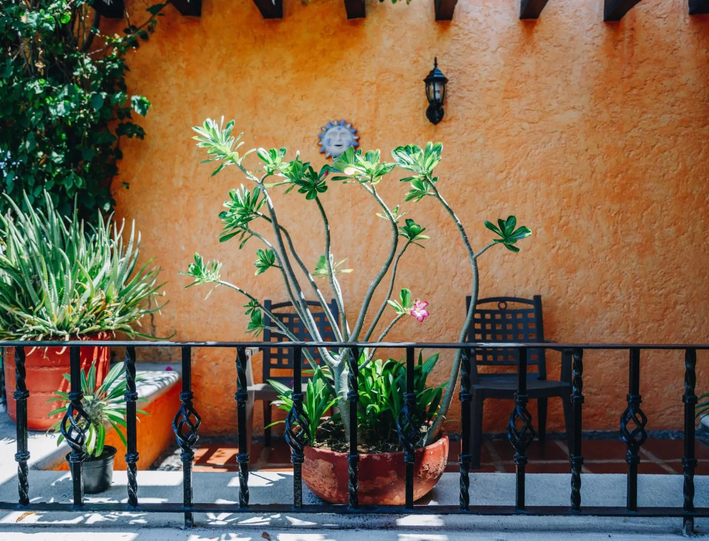 Hostal MX 5th Avenue - Hostel