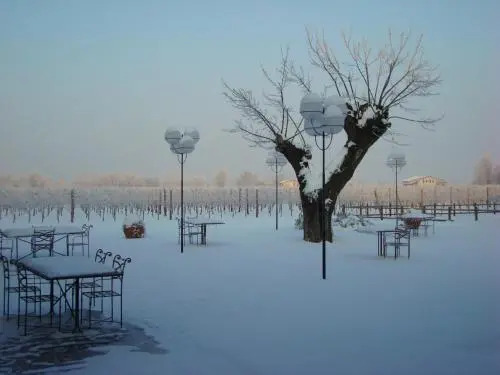 Tenuta Santomè