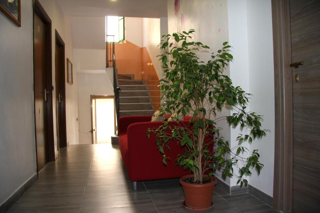 Hotel Adelchi
