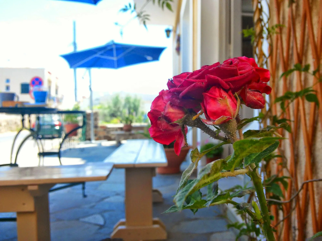 Hotel Aegina