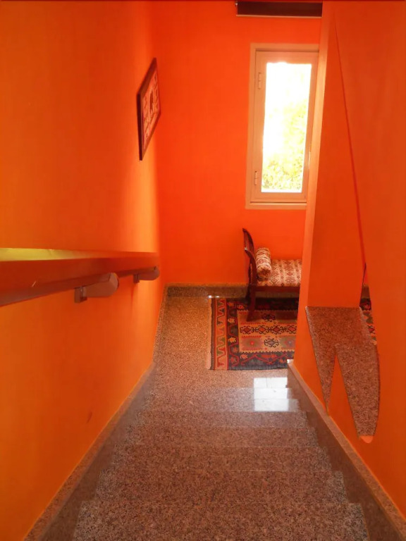 Olympus B&B