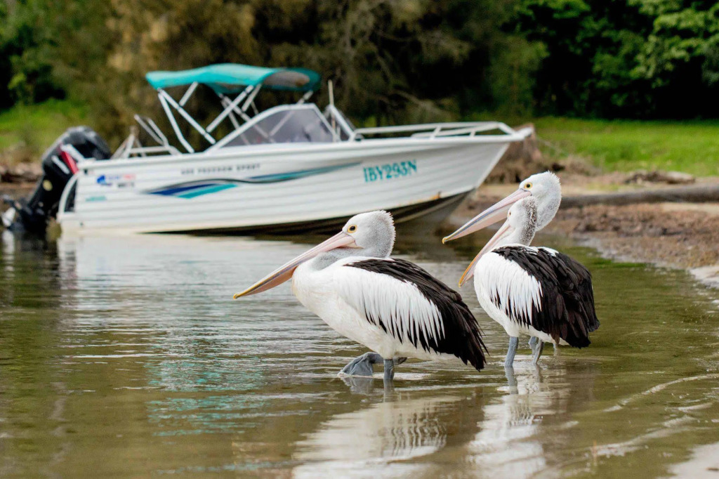 Ingenia Holidays Bermagui