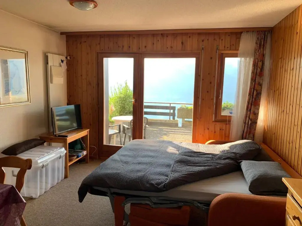 Studios Bellevue 1 et 2, ski lift 150m