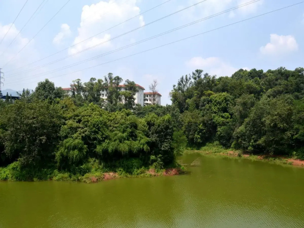Phoenix Lake Impression Emei Hotel
