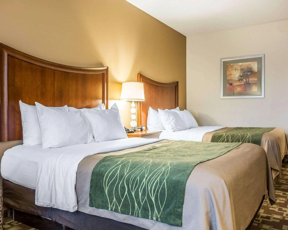 Comfort Inn & Suites Orangeburg