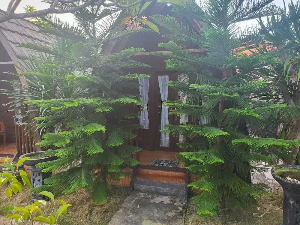 Jambu Guesthouse