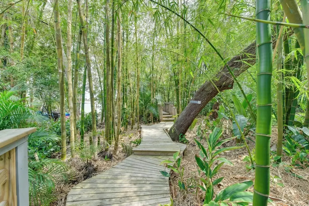 Private Beach + Outdoor Oasis: Home in St Pete!