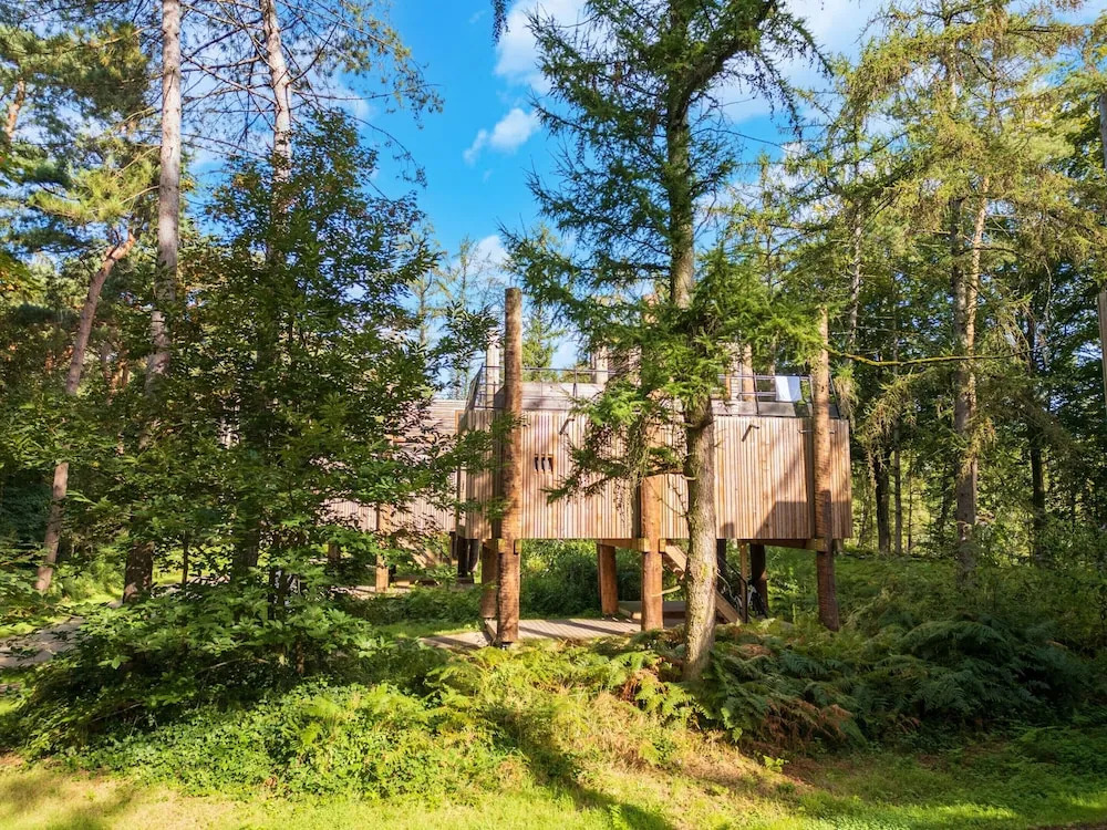 Stylish Retreat With Sauna
