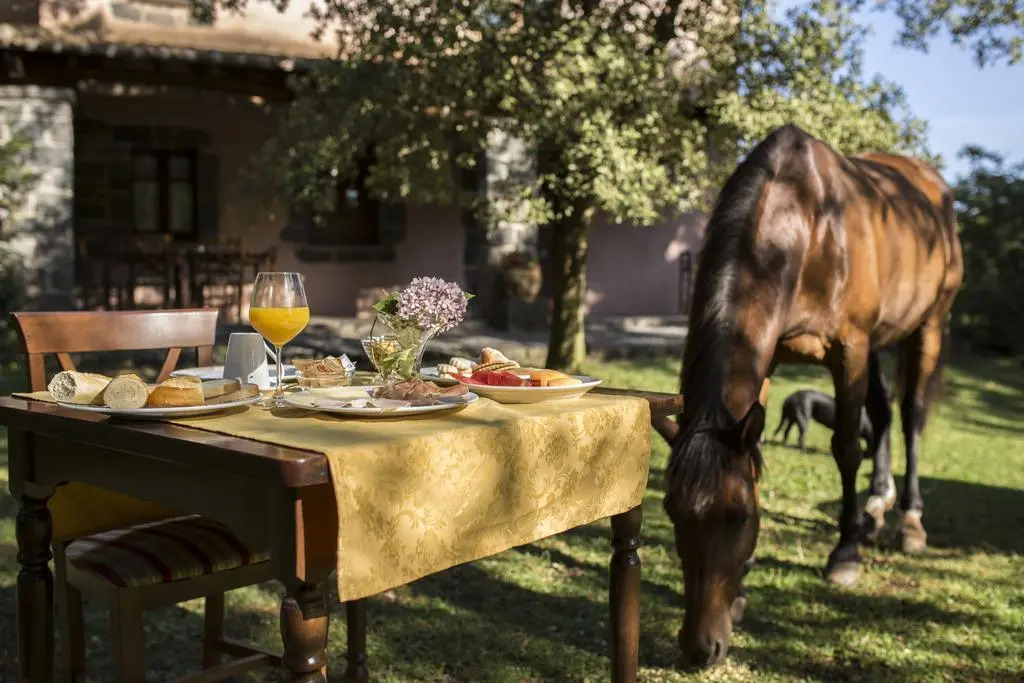 Country Hotel Mandra Edera