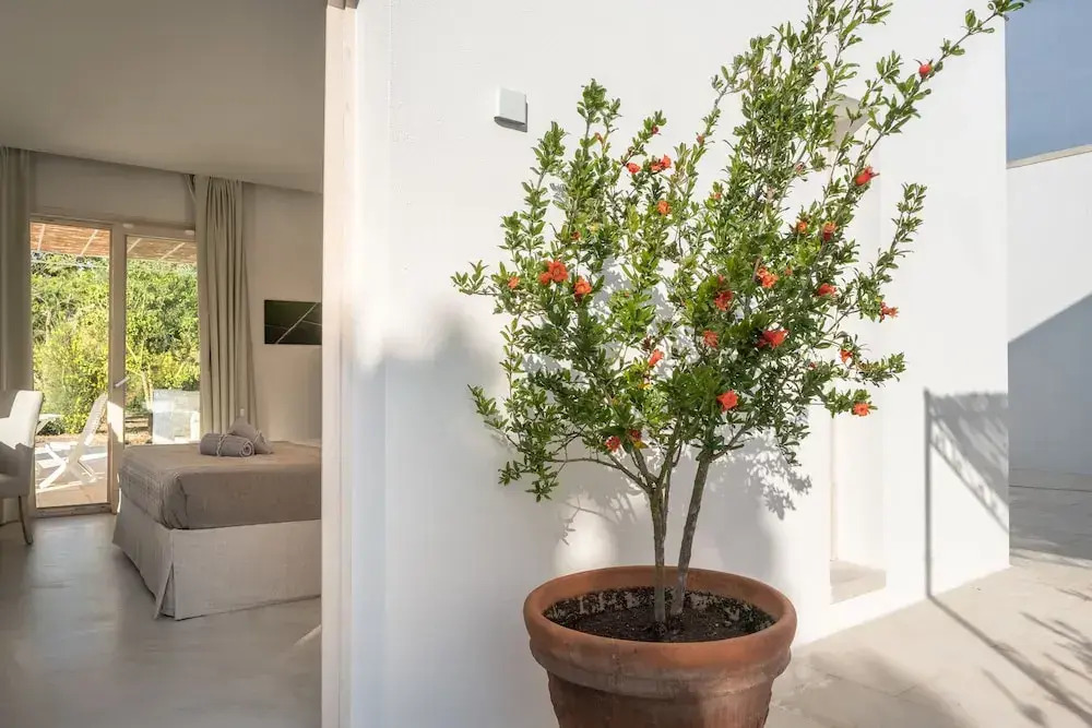 Tenuta DonnAnna Agriturismo&Glamping