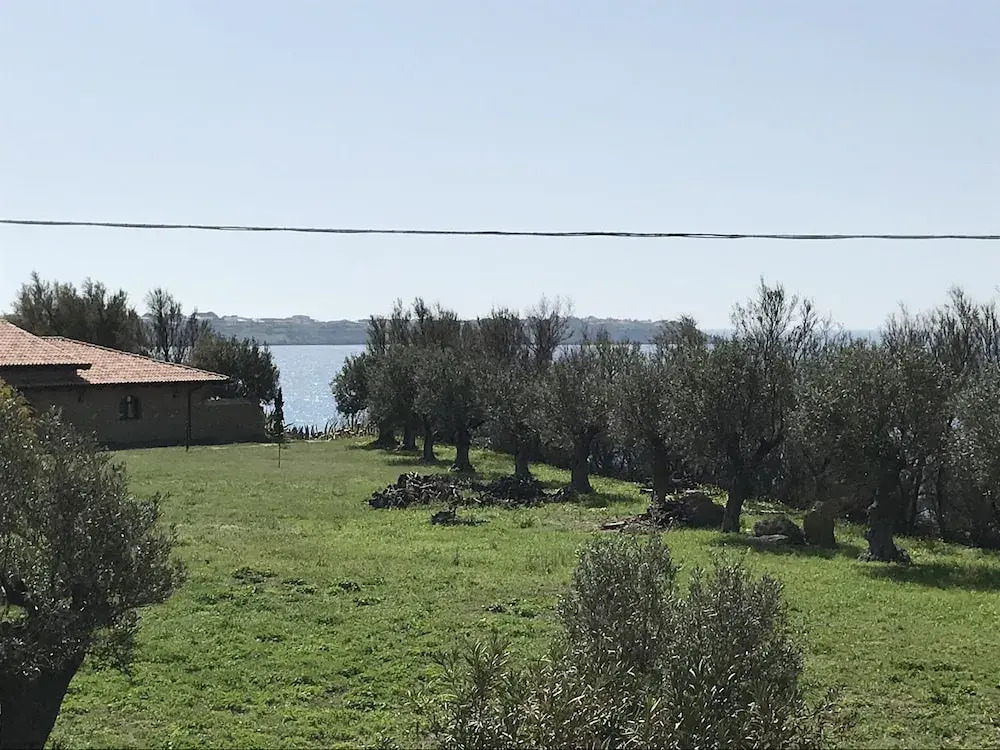 La Sirenetta