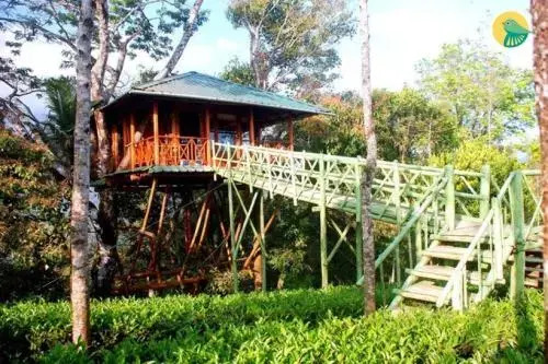 Treehouse With Wi-Fi In Munnar, By Guesthouser 10760