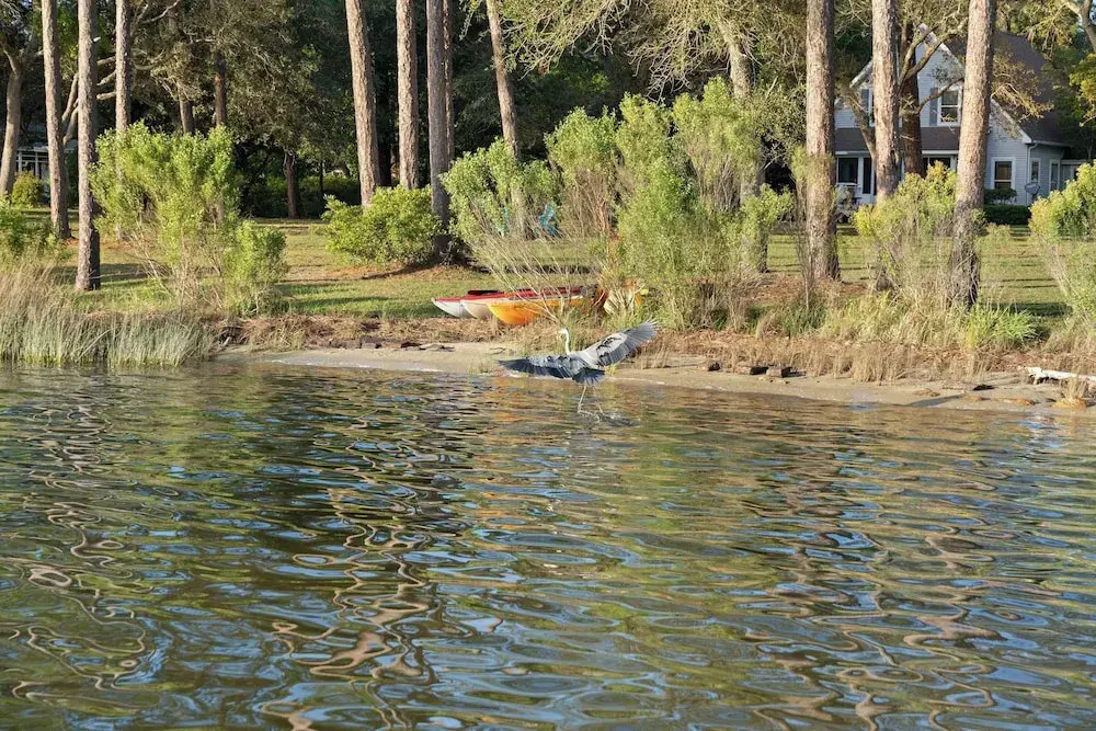 Secluded Waterfront Retreat for 23 Dock, Pets OK