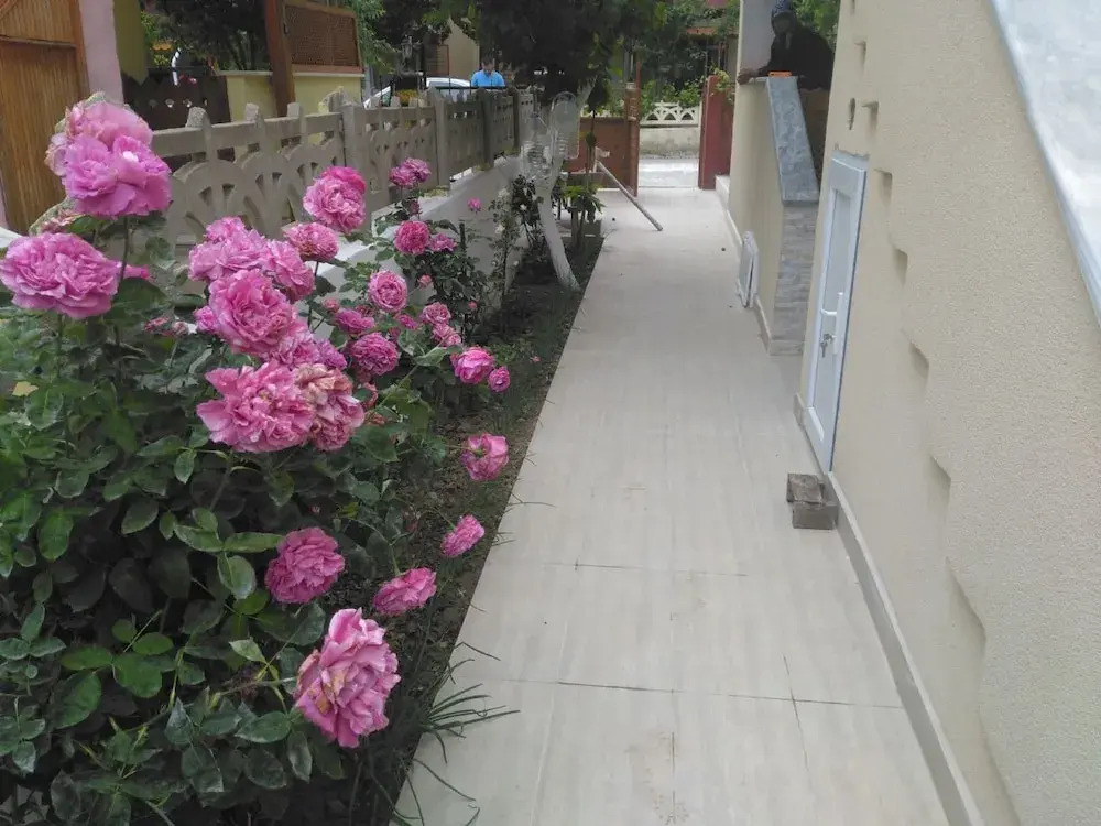 Erikli Tatil Evi 27