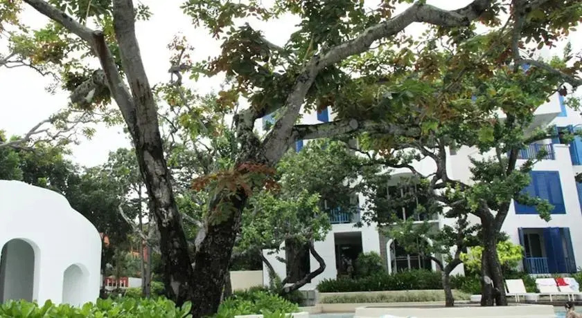 Chelona 702 Khao Tao