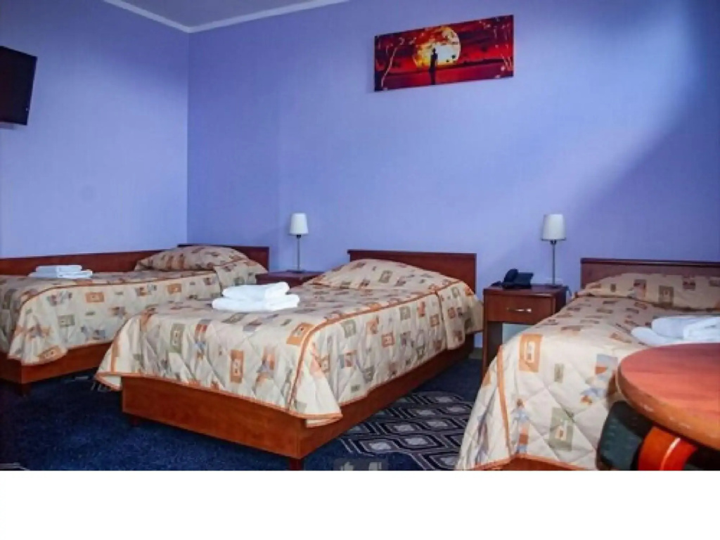 Hotel Vistula