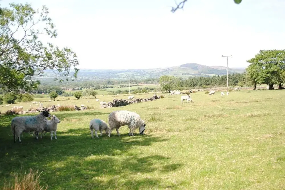 Brambles Farm Peak District Escape