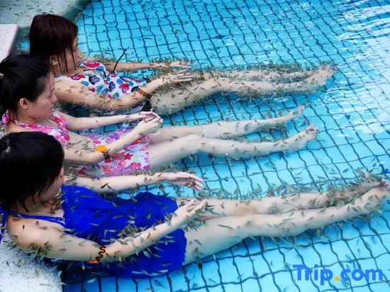 Sanshui Lubao Hot Spring Resort