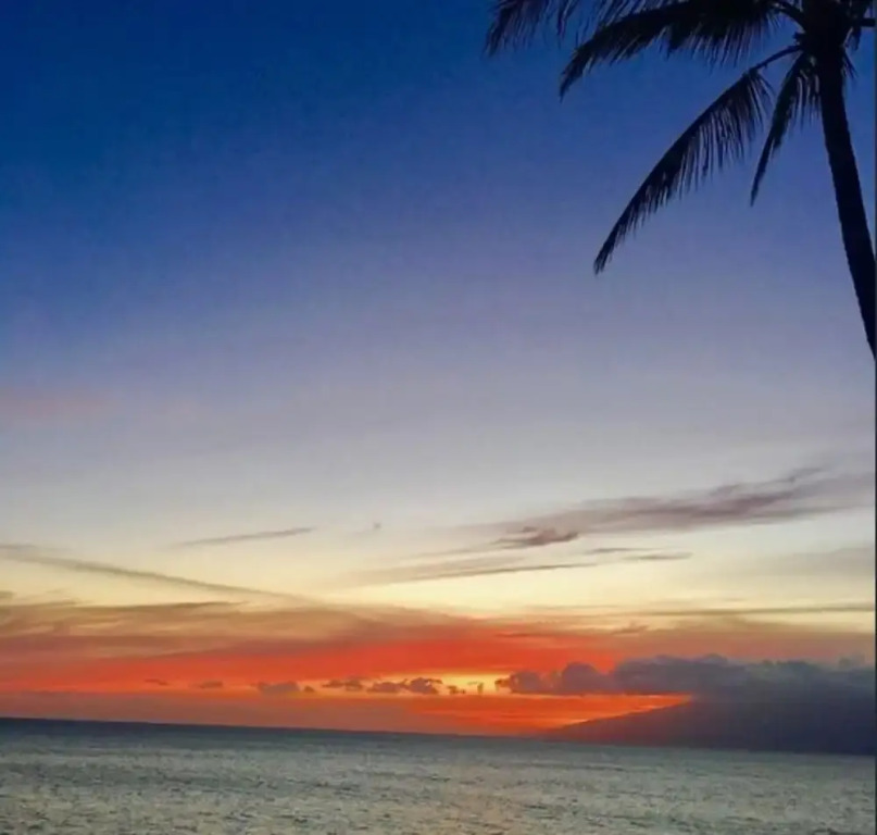 300 Steps to Beach Napili Shores Pool & BBQ