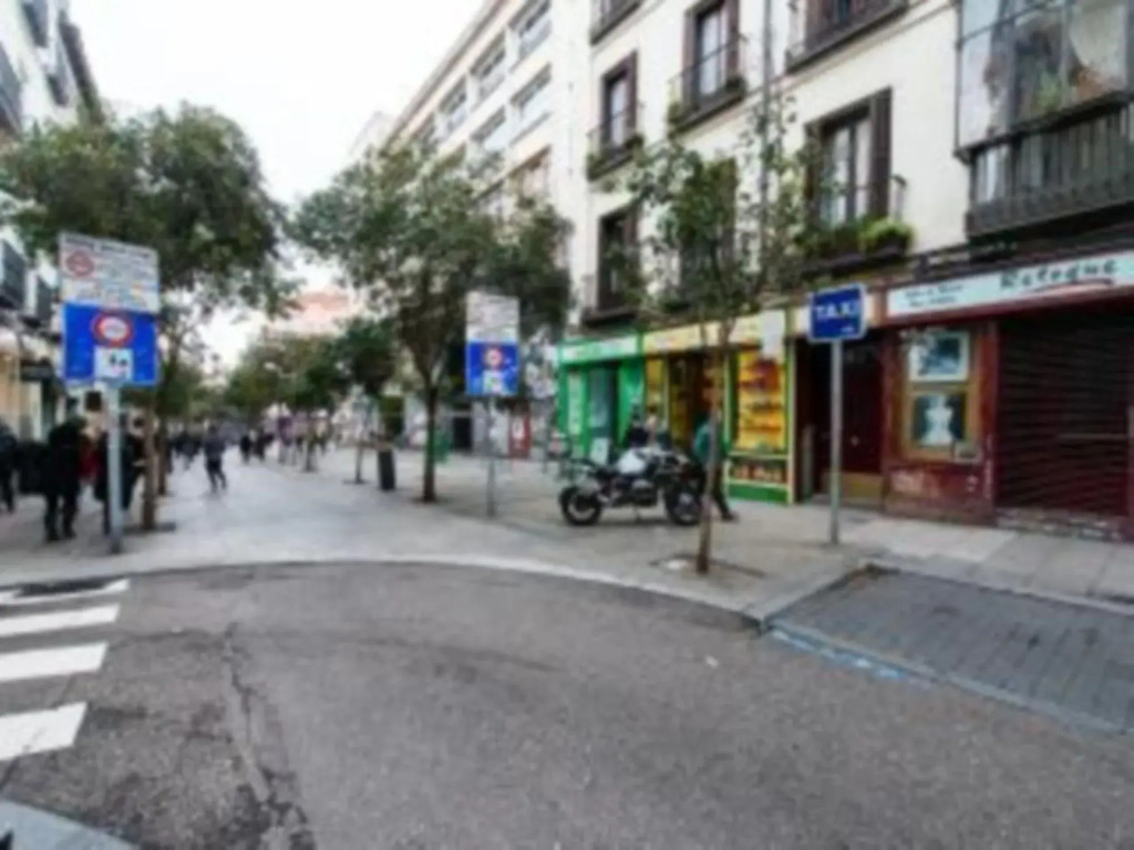 Madrid Center- Fuencarral Pedestrian