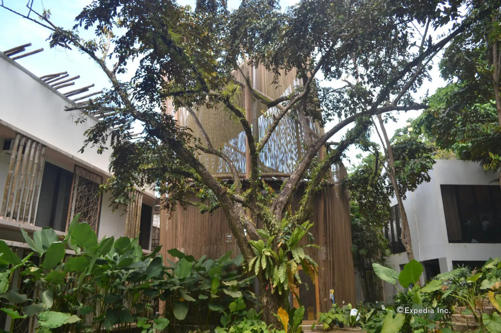 Spin Designer Hostel - El Nido