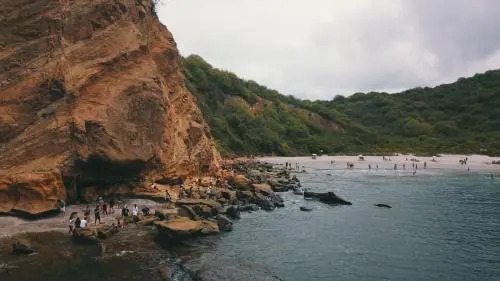 Hostal Humpback Internacional