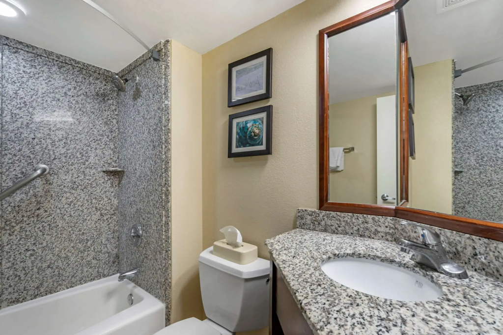 Comfort Inn & Suites St Pete - Clearwater International Airport