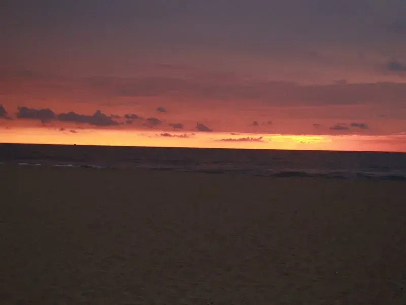 The Hotel Romano- Negombo