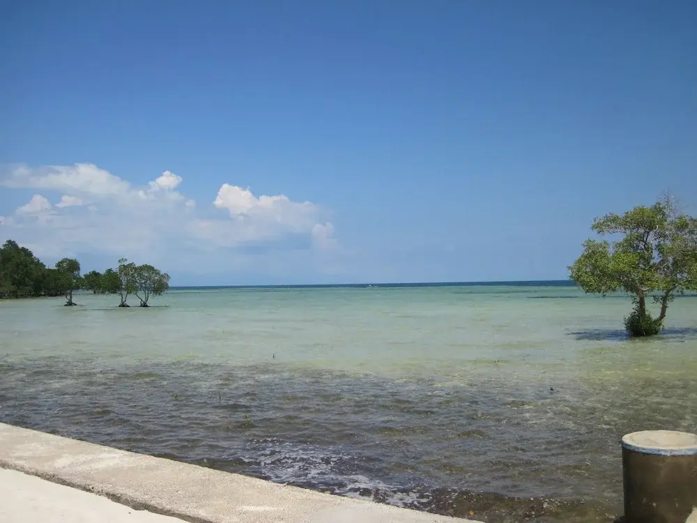 The Emerald Playa