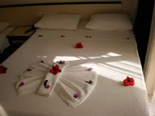 Blue Velvet Hotel