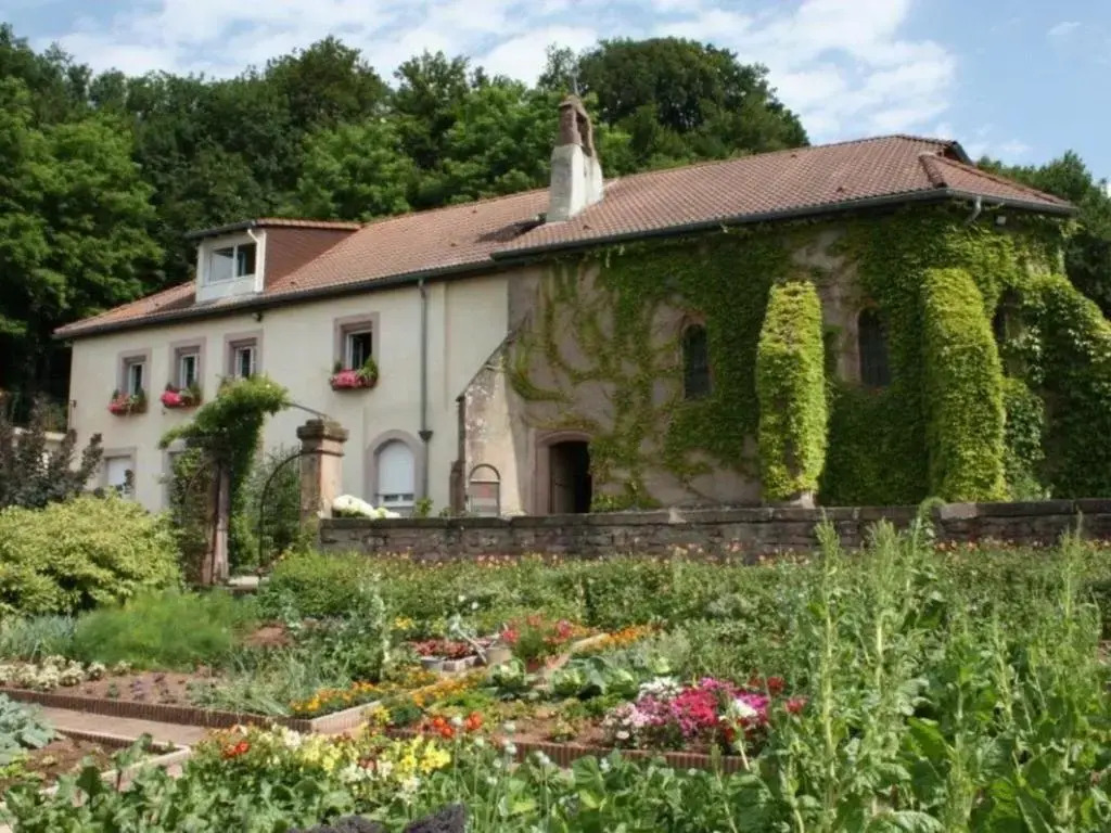 Gîte de charme pour 2 pers., terrasse, forêt à proximité, tout confort, Saint-Dié-des-Vosges - FR-1-589-209