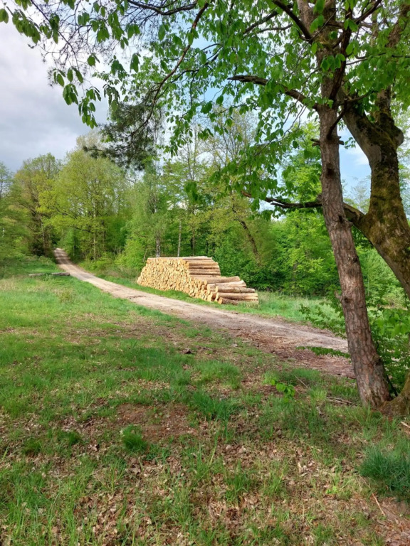 Schöner Weitblick