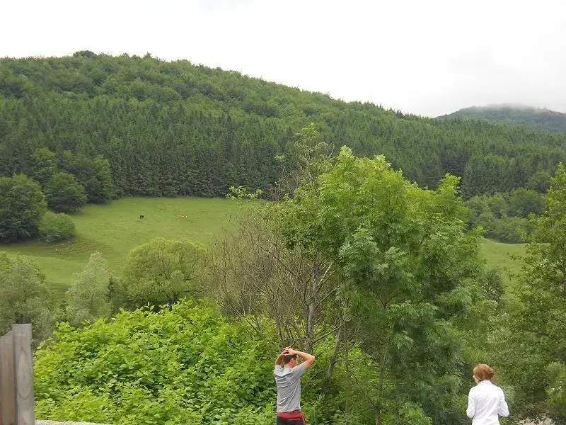 Popas Crasna Nemti