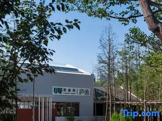 Lushe Hotels