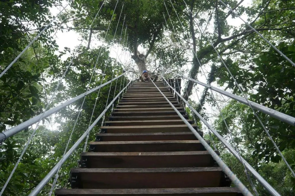 Casa Oro Eco Hostel