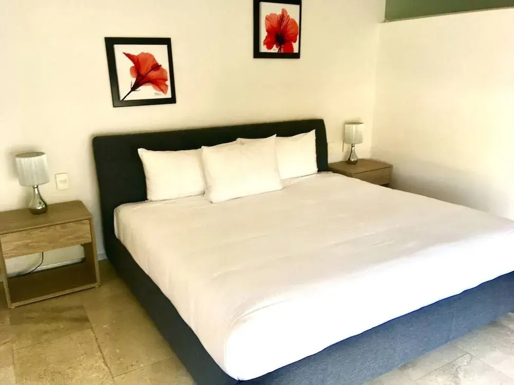 Close To Mamitas Beach, 2 Br for up to 5 sleeps and Rooftop Pool!