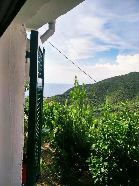 Villa Palima