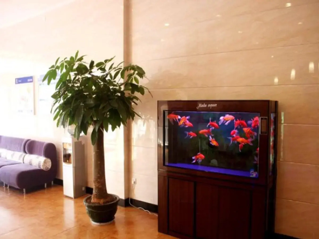 7Days Inn Chenzhou Guiyang Ouyanghai Avenue