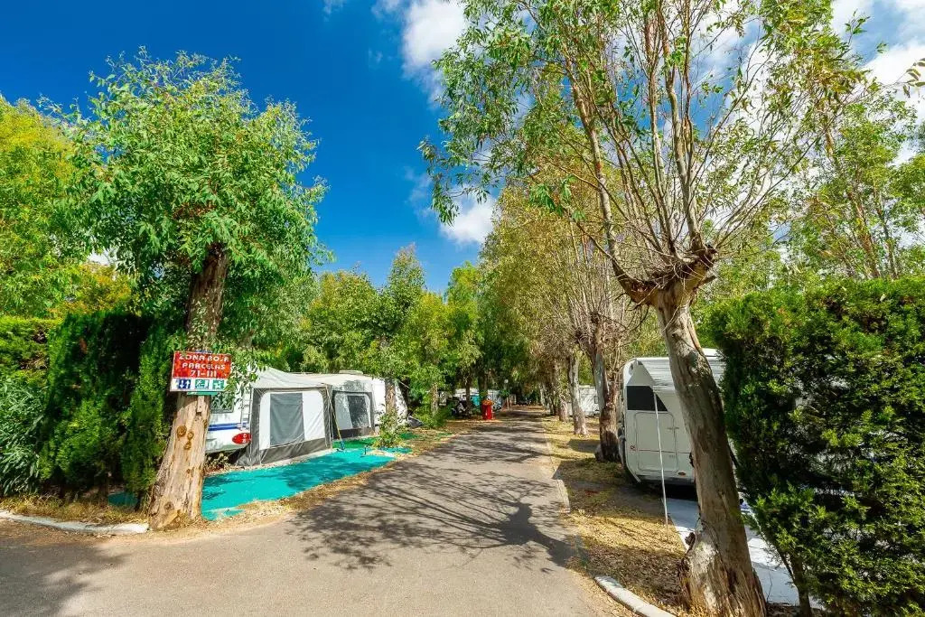 Camping Paloma