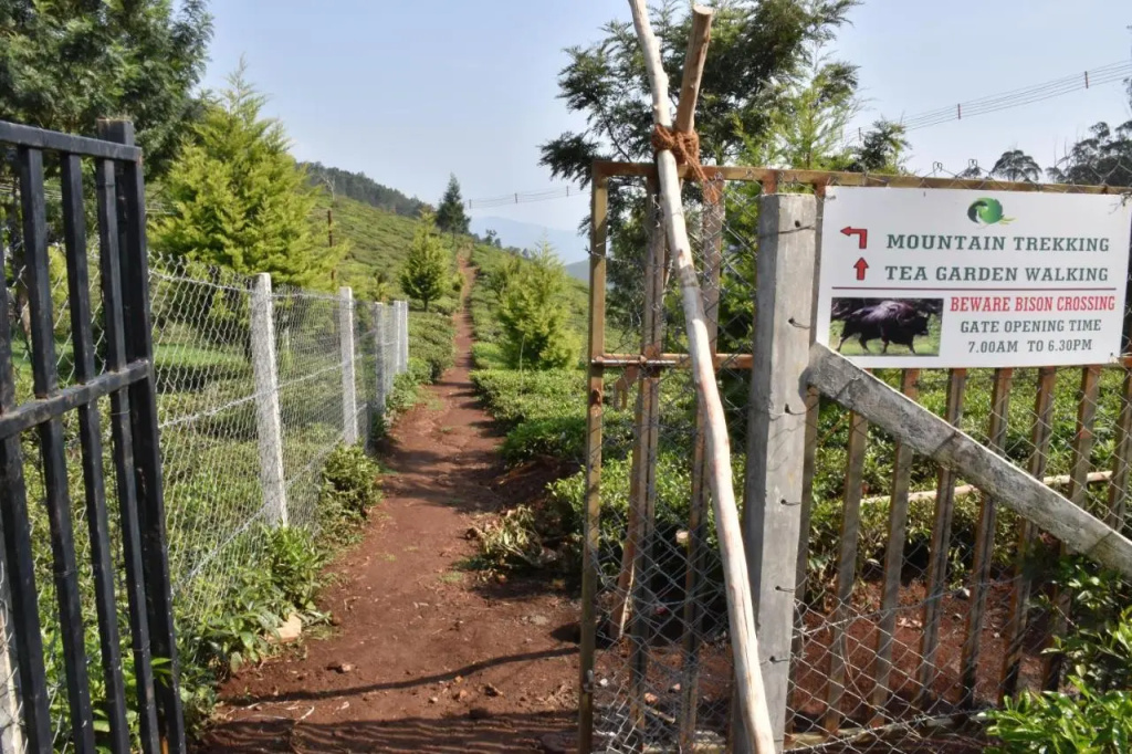 Green Nest Resort Ooty