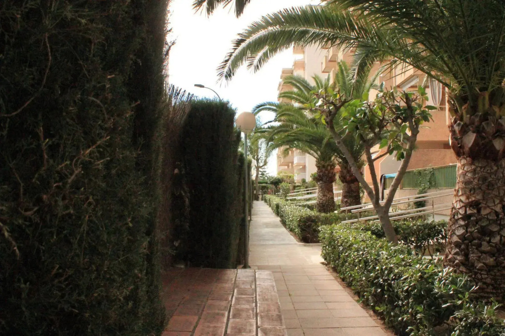 Apartamentos Jardines de Gandía I y II 3000
