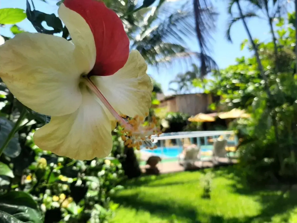 Pousada Palhocinha Garopaba